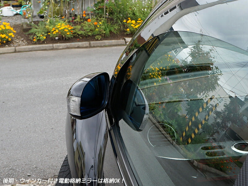 JDM NEW BEETLE Wind deflectors Window Visor - RHD parts [nbtl-spw-ls]