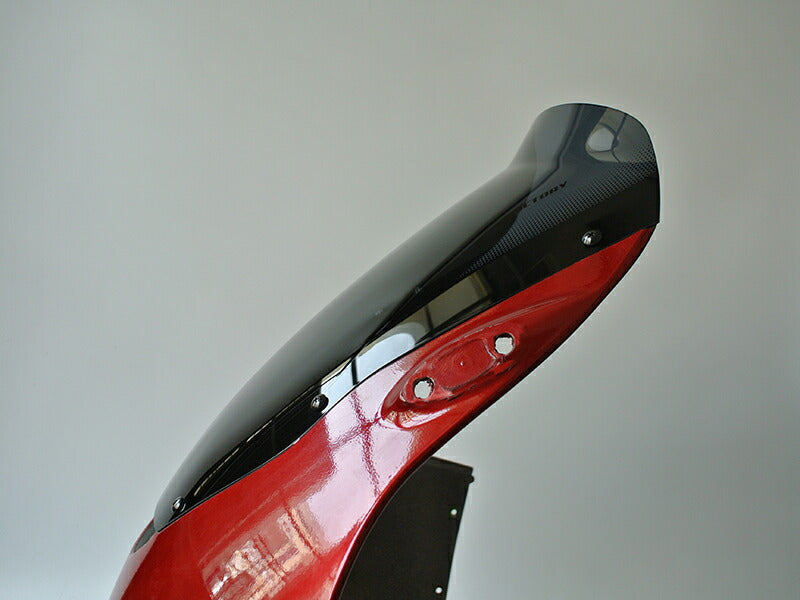 JDM KAWASAKI Ninja ZX-12R / ZX1200-A1(2000) / ZX1200-A2(2001) Dark Smoke windshield - RHD parts [zx12r-std-ds-lg]