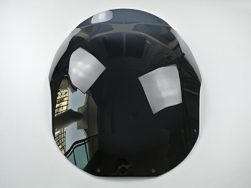 JDM KAWASAKI NINJA ZX-11 ZZR1100 D-type  Long Windshield - RHD parts [zzr11-std-ds-lg]