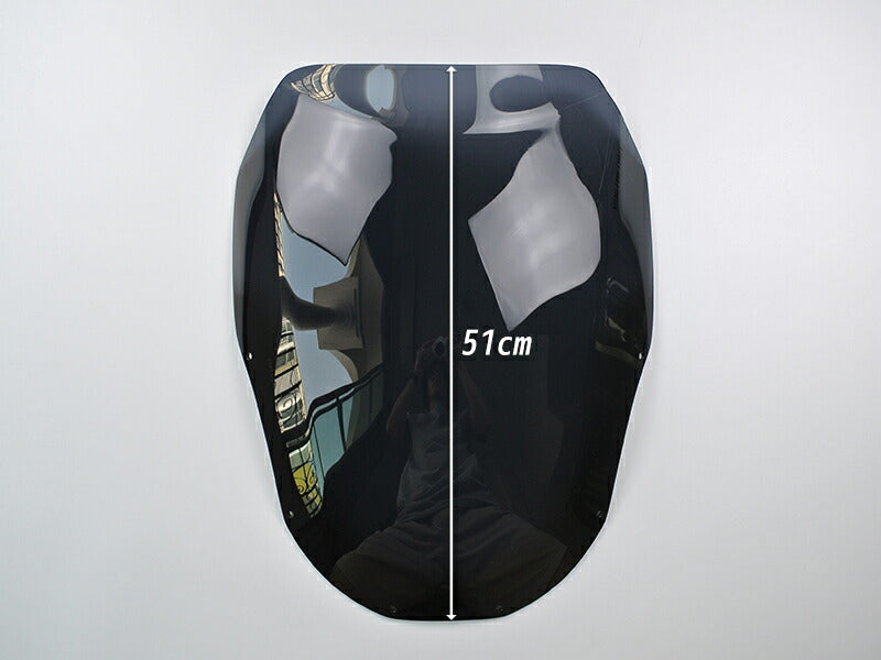 JDM KAWASAKI NINJA ZX-11 ZZR1100 D-type  Long Windshield - RHD parts [zzr11-std-ds-lg]