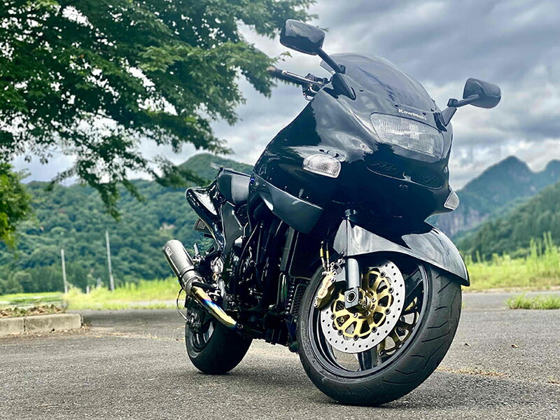 JDM KAWASAKI NINJA ZX-11 ZZR1100 D-type  Windshield - RHD parts [zzr11-std-ds-sh]