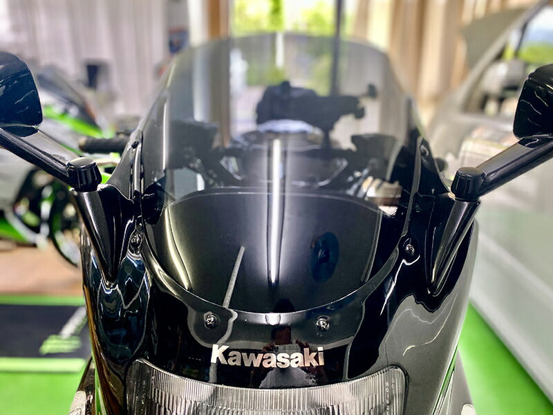JDM KAWASAKI NINJA ZX-11 ZZR1100 D-type Windshield - RHD parts [zzr11-std-ds-sh]